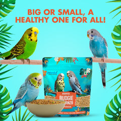 Birds foods