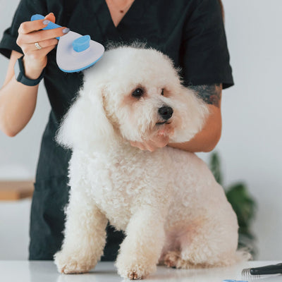 Grooming