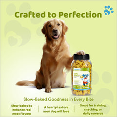 Petoska Dog Biscuits Banana 500g - Tasty & Crunchy