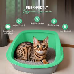 Petoska Bentonite Cat Litter Jasmine Fragrance Rapid Clumping & Odor Control-5kg