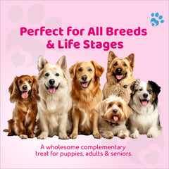 Petoska Dog Biscuits Chicken 500g - Crunchy Protein