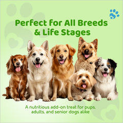 Petoska Dog Biscuits Chicken & Apple 500g - Healthy Digestion