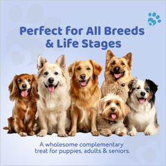 Petoska Dog Biscuits Chicken & Mixed Berries 500g - Nutritious food