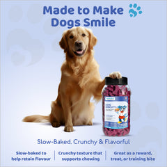 Petoska Dog Biscuits Chicken & Mixed Berries 500g - Nutritious food