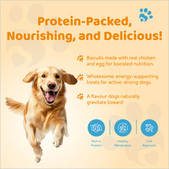 Petoska Dog Biscuits Chicken & Egg 500g - Protein-Rich Treats