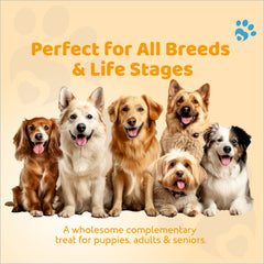 Petoska Dog Biscuits Chicken & Egg 500g - Protein-Rich Treats