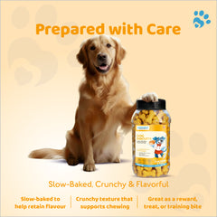 Petoska Dog Biscuits Chicken & Egg 500g - Protein-Rich Treats