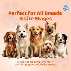 Petoska Dog Biscuits - Chicken & Carrot 500g