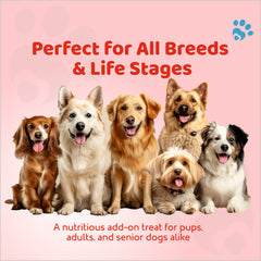 Petoska Dog Biscuits Meat 500g - Slow-Baked Protein Treats