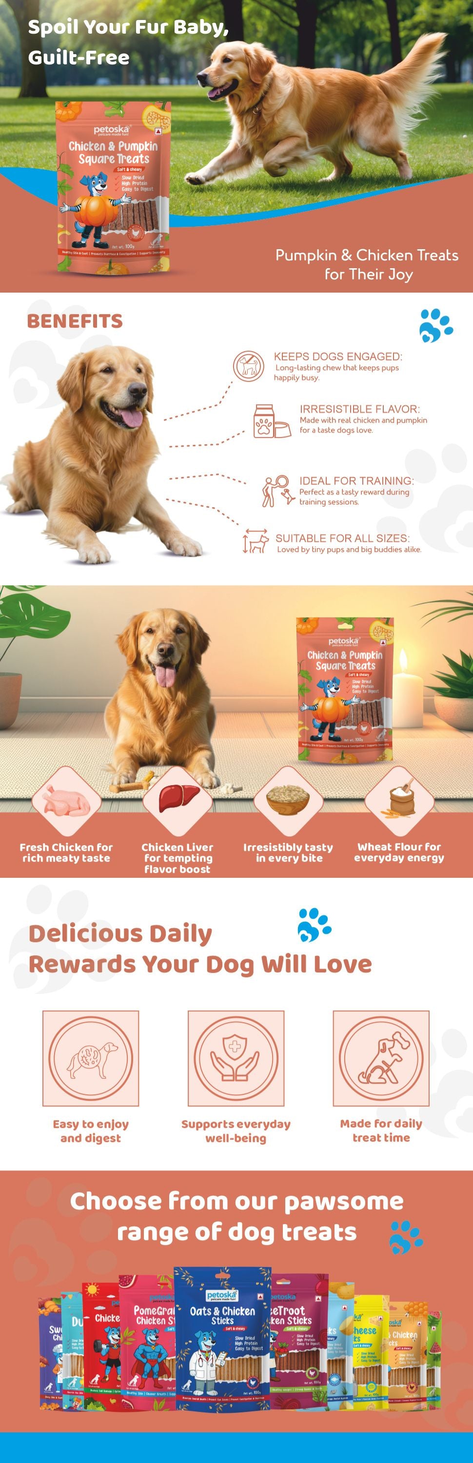 Petoska Dog Treats – Chicken & Pumpkin 100g | Digestive Support