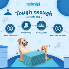 Petoska Waterproof Reusable Washable Dog & Cat Pee Pads & Pet Dry Sheet Peacock Blue & Orange - Pack Of 2