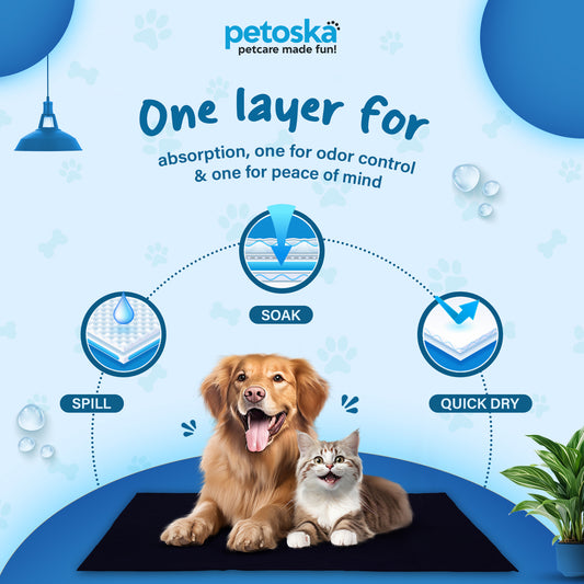 Petoska Waterproof Reusable Washable Dog & Cat Pee Pads & Pet Dry Sheet Dark Blue -Medium Size (Pack Of 2).