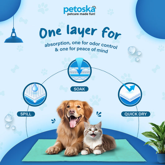 Petoska Waterproof Reusable Washable Dog & Cat Pee Pads & Pet Dry Sheet Green -Small Size (Pack Of 2).
