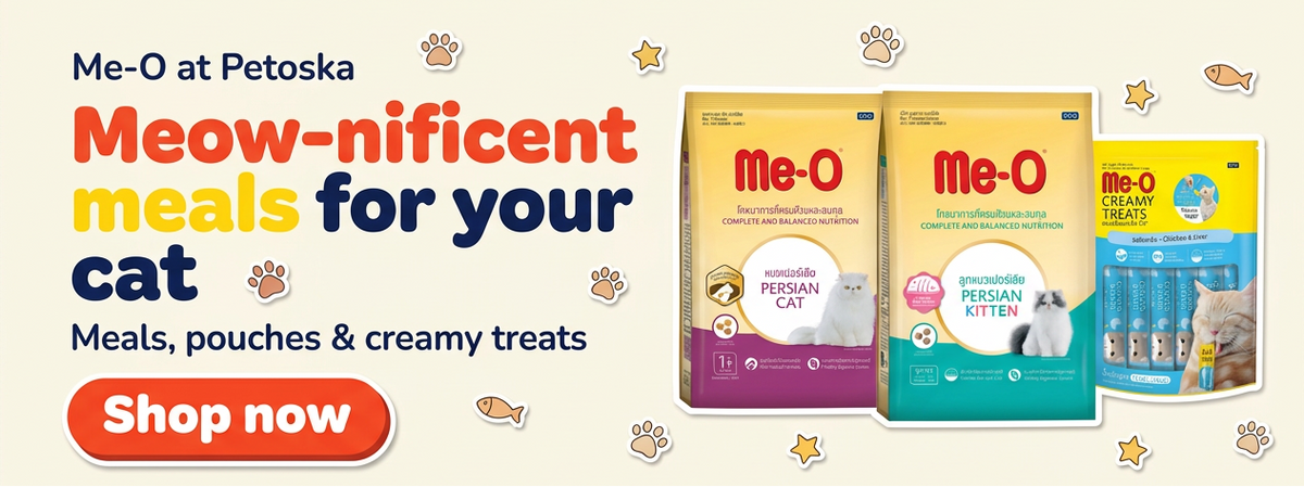 Me-O party-style banner with real product packs and Shop now CTA