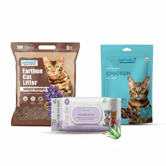 New Cat Parent Essentials