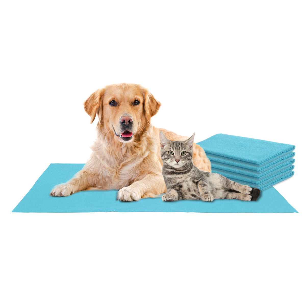 Maissen Pet Dry Sheet Medium- Blue | Size-100Cm X 70Cm | for All Pets | Waterproof Reusable Pee Pads for Dogs | Cat Mat | Washable Pet Dry Sheet | Training Pads for Dogs | Odor Remover | Quick Dry