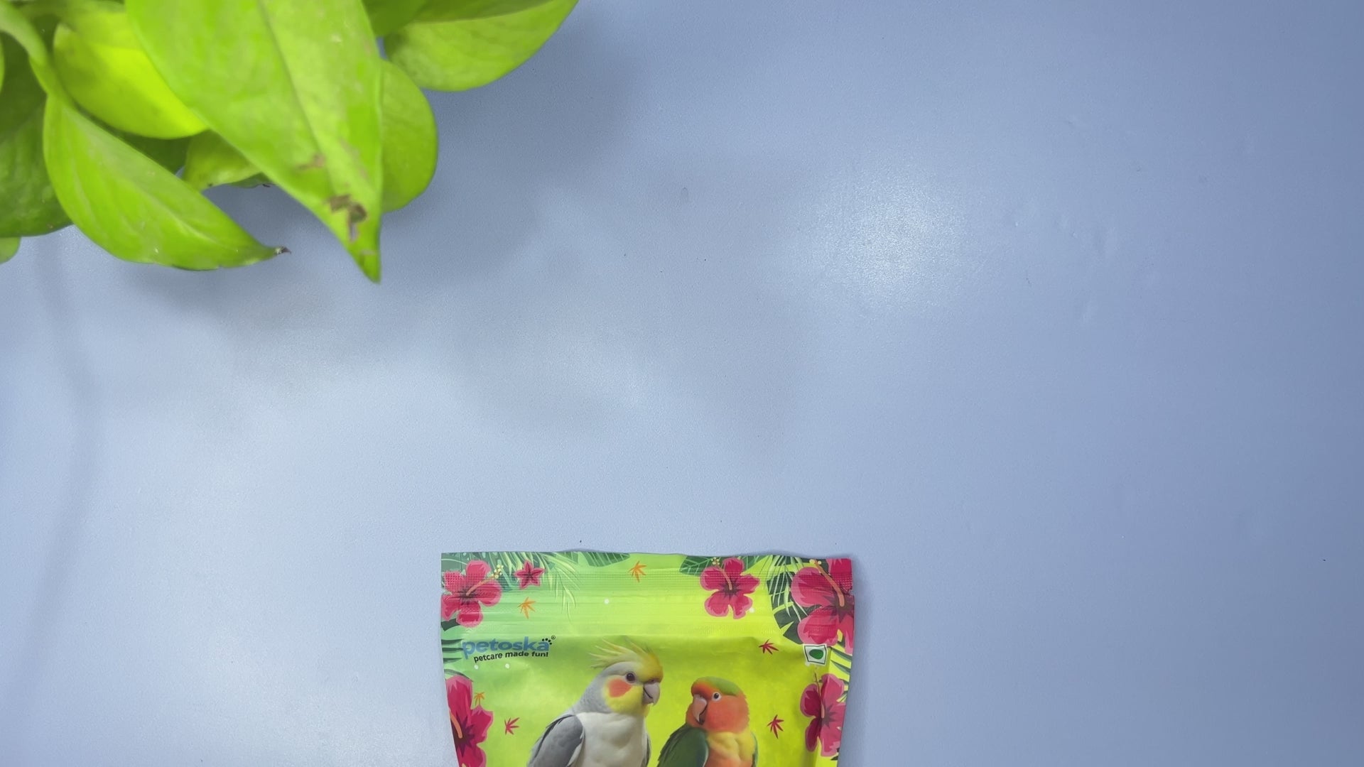 Petoska Chirpy Chips Sunflower Seeds 450g | For All Birds