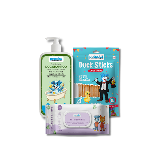 Puppy Welcome Kit – Treats, Hygiene & Care Essentials