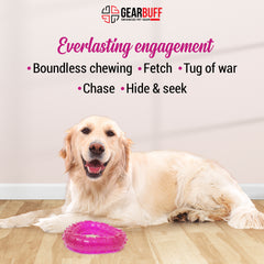 Gearbuff Trinity Clear Dental Dog chew Toy,Small, Purple